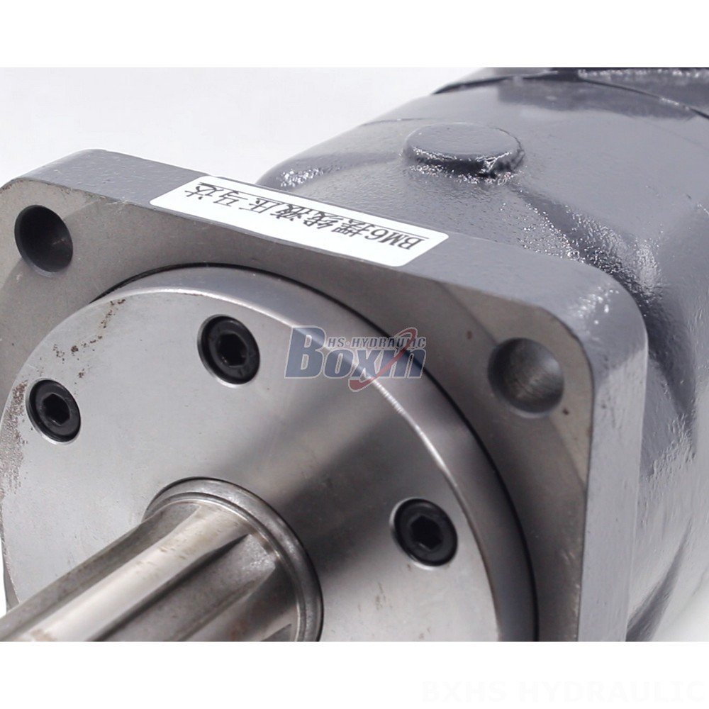 BM6 Cycloid Hydraulic Motor 195 cc/r 150 Lpm - Factory Direct Supply detail image